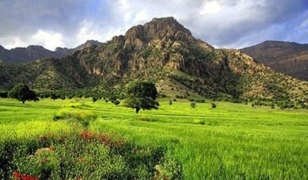 آشنایی با مهندسی فضای سبز