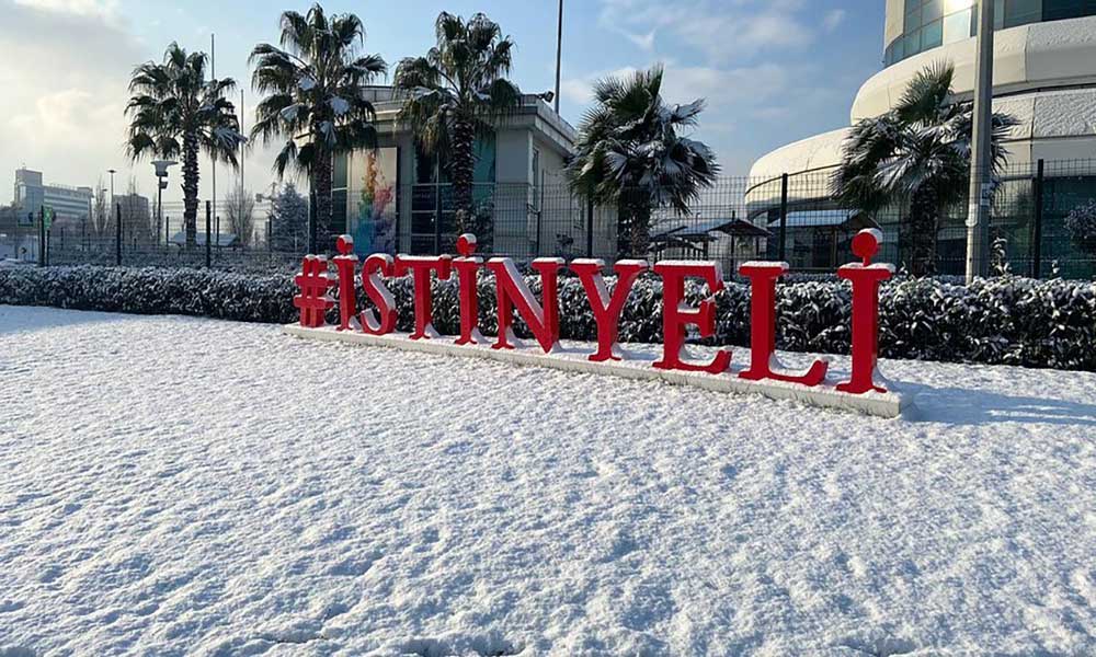 دانشگاه Istinye