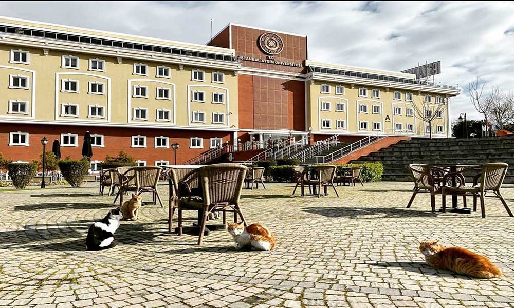 Istanbul Aydın University