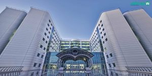 دانشگاه خاور نزدیک